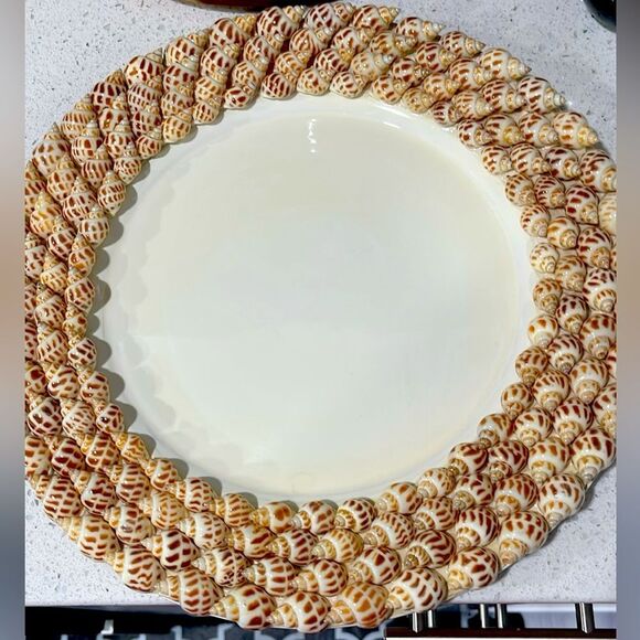 Gorgeous Sea Shell Lazy Susan Elegant Spotted Babylonia Areolata Shells RARE - Picture 1 of 5